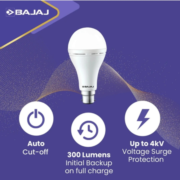 12W LEDZ Inverter Led Bulb